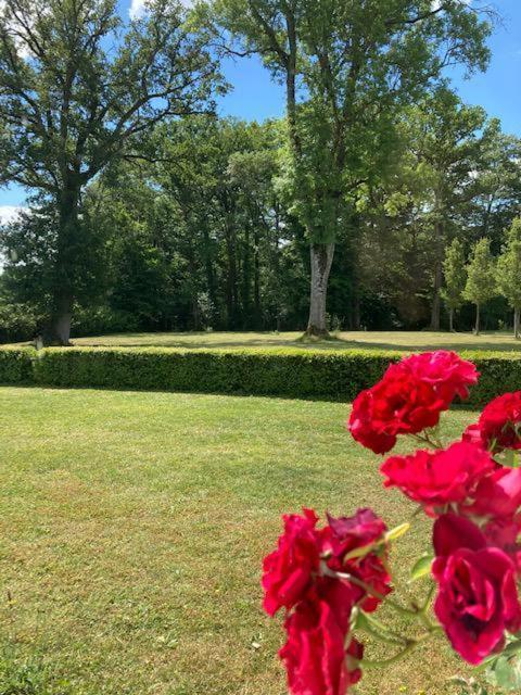 Domaine De La Vaudouriere Villa Lunay Стая снимка